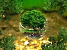 Environmental-protection_ejaugsburg_pixabay