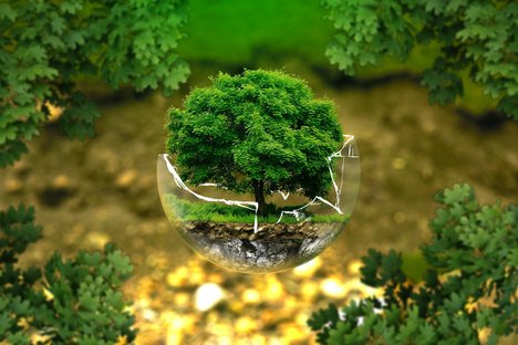 Environmental-protection_ejaugsburg_pixabay