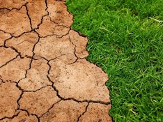 Klimawandel_Tumisu_pixabay