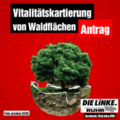 POST_Antrag_Vitalitaetskartierung_Waldflaechen.png