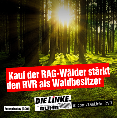 PM_Waldkauf_gut_fuer_RVR.PNG