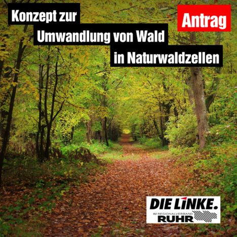 Post_FB_Naturwaldflaechen.png