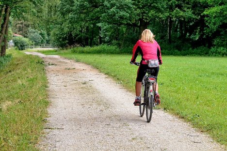 Radweg-Manfred Antranias Zimmer_pixabay